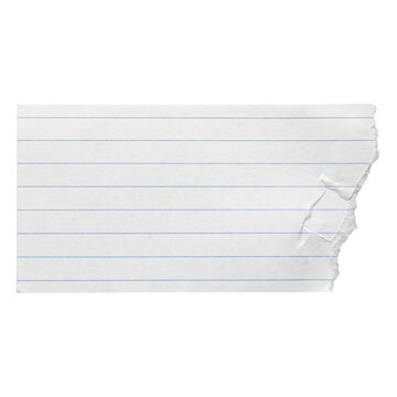 Torn piece of blank lined note paper
