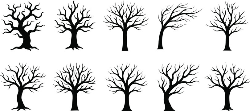Bare Winter Tree Silhouettes Dead Branch Vector Set