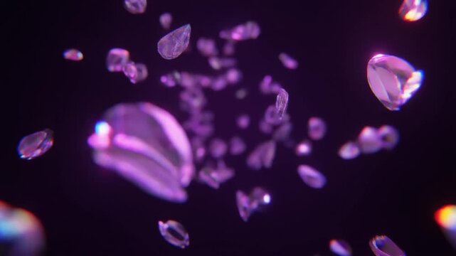 カメラに向かって飛んでくるガラスのように透明な花びらと葉の破片