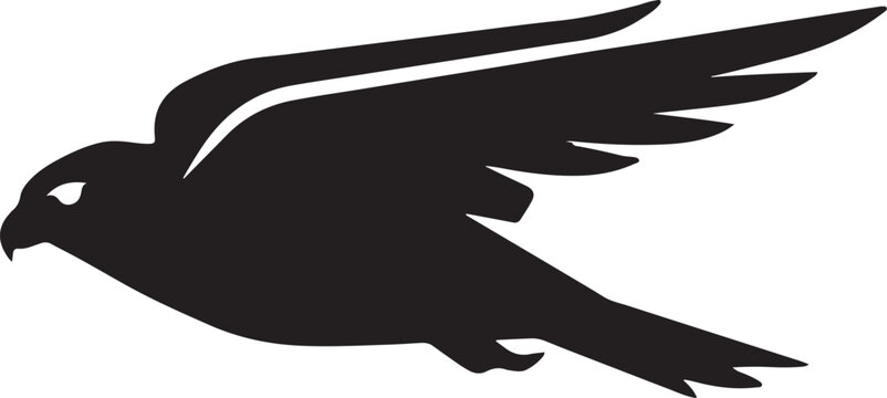 Falcon Bird Silhouette Wildlife Vector