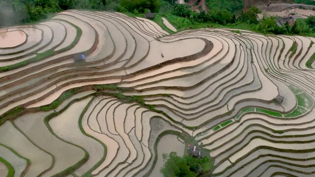Hmong farmers prepare their fields and plant rice on terraced fields in Hoang Su Phi. Photo taken in Tuyen Quang on June 20, 2026
