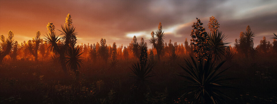 Field full with blooming yuccas in the mist under a cloudy sky during sunrise. 3D rendered image.