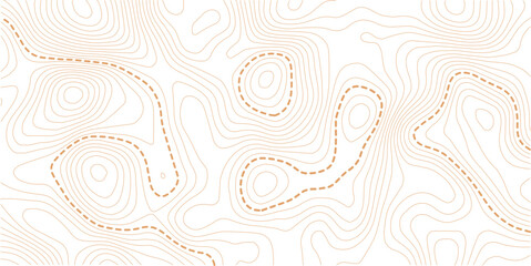 Topography background. Vector banner. Topography map background. Vector geographic contour map. Background of the topographic map.  © MdNayebAli