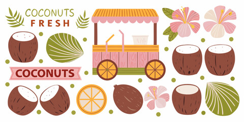 Coconuts Tropical Stand And Hibiscus Flowers Vector Illustration © Bipul