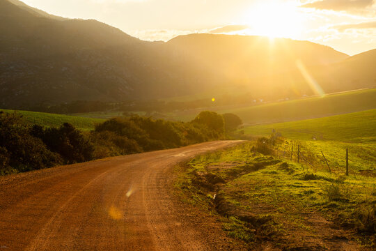 sunrise light on rural dirt road, Stanford, South Africa