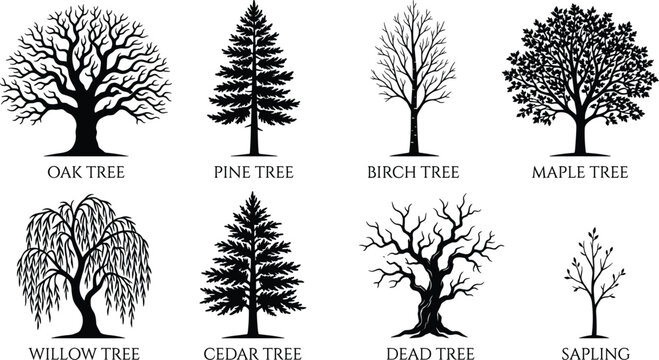 Tree silhouette icons featuring oak, pine, birch, maple, willow, cedar, dead tree, and saplingTree silhouette icons featuring oak, pine, birch, maple, willow, cedar, dead tree, and sapling