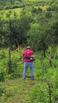 Romanian farmer trims grass with a brushcutter in a sunny countryside vineyard. Traditional agricultural work, summer vineyard maintenance.