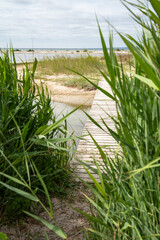 Fototapeta premium Wooden footbridge with dune grass on the east coast of denmark. Vertical background for travel and tourism.