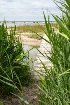 Wooden footbridge with dune grass on the east coast of denmark. Vertical background for travel and tourism.
