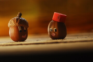 SERRAJA acorn with Diana acorn on a wooden background © oleg