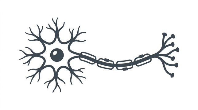 Human Neuron Cell Illustration Medical Science Biology.