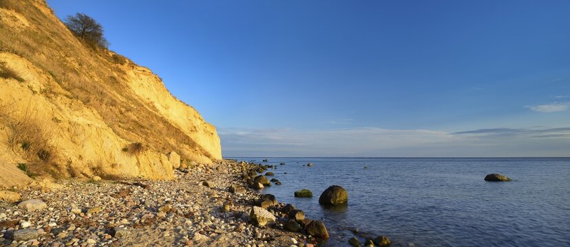 Cliffs and boulders on the coast of the Baltic Sea in the evening light, Reddevitzer H&ouml;ft, M&ouml;nchgut peninsula, R&uuml;gen island, Mecklenburg-Western Pomerania, Germany