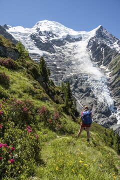 Hiker in front of glacier, hiking trail La Jonction, glacier Glacier de Taconnaz, summit of Mont Blanc and Aiguille de Bionnassay, right Mont Blanc, Chamonix, Haute-Savoie, France