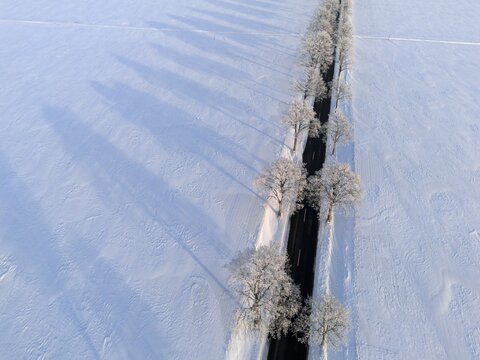 Snowy avenue with trees and road, shade falling over white fields, aerial view, winter, hoarfrost, between Adenstedt and Gro&szlig; B&uuml;lten, municipality of Ilsede, district of Peine, Lower Saxony, Germany