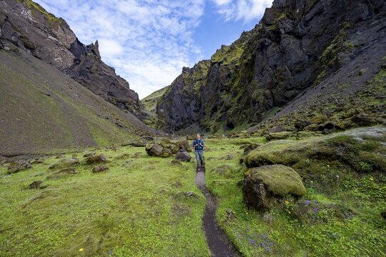 Hiking trail through a green moss-covered gorge, enchanted volcanic landscape, Pakgil, Iceland