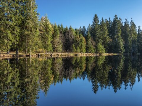 Small lake in the Thuringian Forest under blue sky, spruce forest reflected, Ochsenbacher Teich, Thuringia, Germany