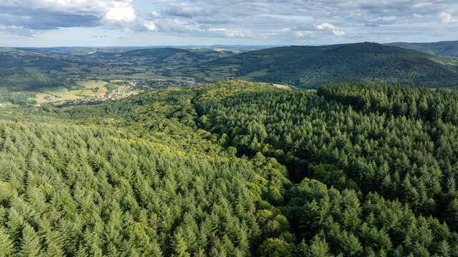Paysage nature de la r&eacute;gion du Morvan autour de la ville d'Autun en Bourgogne au printemps