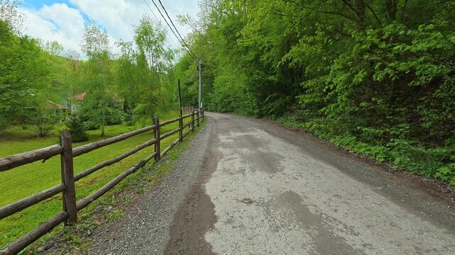Gravel path winds through lush green forest. Grza River Spring, Serbia