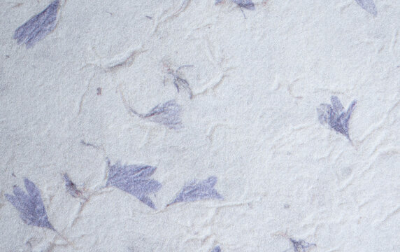 Handmade Botanical Paper Texture with Purple Petal Inclusions