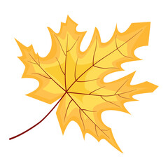 Fototapeta premium Autumn leaves vector set isolated on white background. Colorful fall leaf illustration for thanksgiving and seasonal design