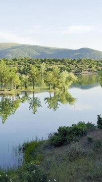 Serene Alpine Waters: Snowy Peaks Reflected in a Tranquil Forest Lake