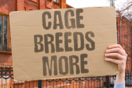 "Cage breeds more" Incarceration creates additional criminality. CRIMINALITY. RECIDIVISM. VIOLENCE. GANG. RADICALIZE.