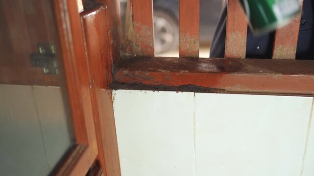 Close-up of termite damage on a wooden window frame while spraying pesticide for pest control. Wood decay, home inspection, structural damage, infestation treatment, and property maintenance concept.