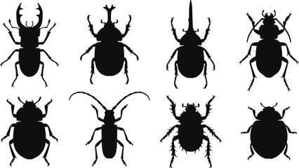 Beetle silhouette icons set including stag beetle rhinoceros beetle ladybug and longhorn beetle isolated on white background © MdShahadot