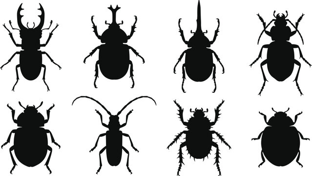 Beetle silhouette icons set including stag beetle rhinoceros beetle ladybug and longhorn beetle isolated on white background