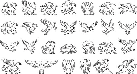 Fototapeta premium Griffin Line Art Pose Set Fantasy Creature Outline Vector Collection