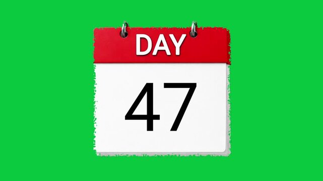Day 47 calendar page flipping animation showing  on chroma key green screen background