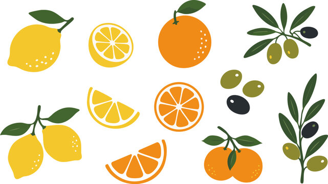 Citrus Fruit Illustration Set with Oranges Lemons and Olives. Modern fruit composition featuring oranges, lemons, limes and olive branches in a Mediterranean style.  