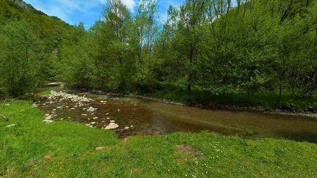 Sunlit stream meanders through lush green valley. Gradac River, Serbia