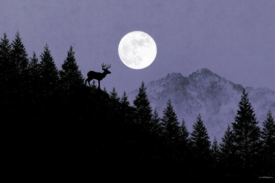 Dark forest with a deer standing on a hill under a bright full moon at night with mountains in the background