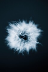 Fototapeta premium Visual display of a cloud of energy with various shades swirling in a dark background during a nighttime setting