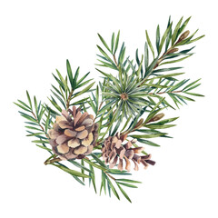 Fototapeta premium Spruce branch, isolated watercolor illustration. A Christmas tree in a green coniferous forest. Pine branches and greenery are hand-painted. Fir branch. Decorative design for the new year 2027