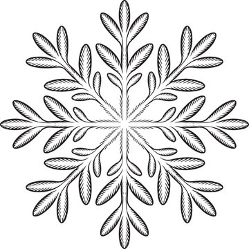 Stylized snowflake design created from intricate leaf branches with detailed veins and organic textures perfect for winter holiday greeting card decor.