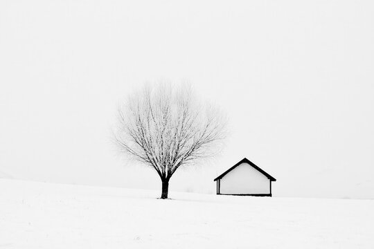 Winter scene with a bare tree and a simple house in a snowy landscape