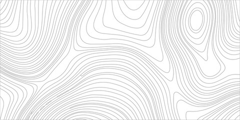 Topographic map contour lines background, abstract white and grey geographic terrain grid pattern vector illustration. Geographical elevation, terrain mapping, and structural layout © Creative Arts