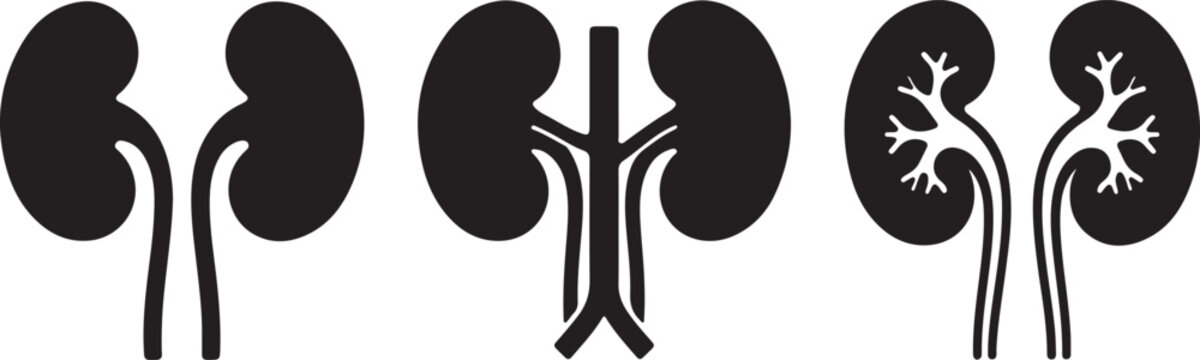 Human kidney icon set, black silhouette medical vector of renal system, anatomical urinary tract organs for healthcare infographics