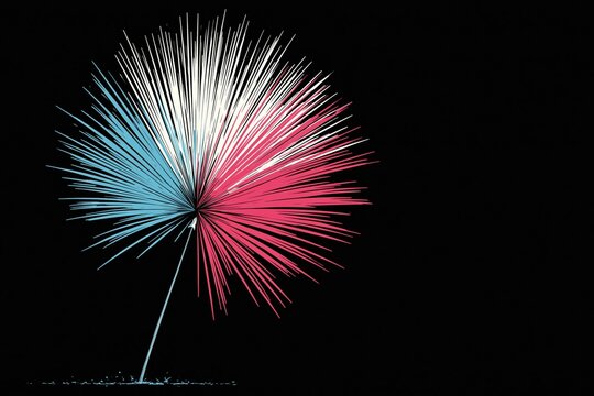 Colorful fireworks light up night sky during celebration with bright red and blue patterns