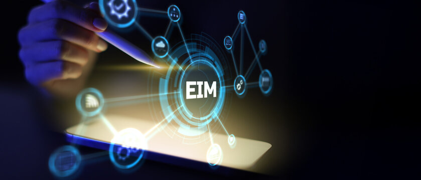 EIM Enterprise Information Management for Business Data Organization and Process Optimization