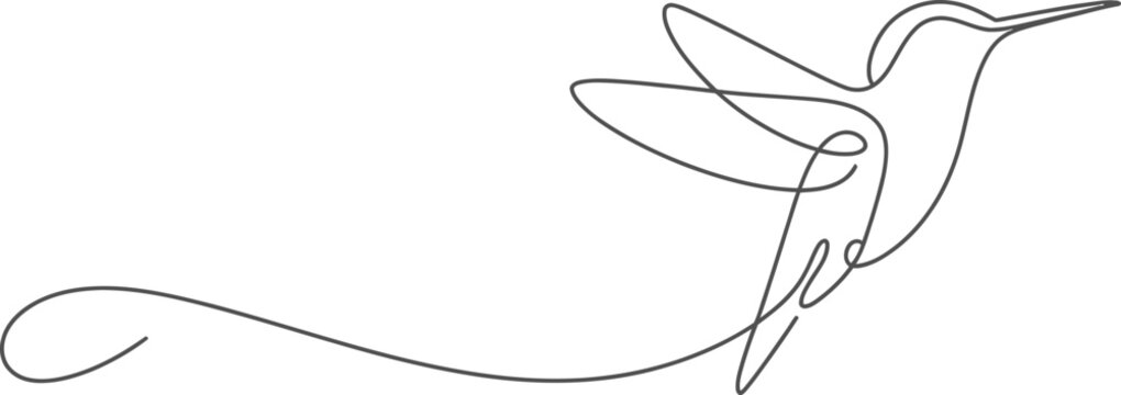 Elegant single line drawing of a flying hummingbird in a minimalist artistic vector style