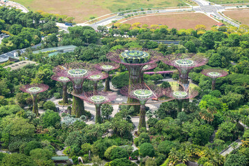 Fototapeta premium Aerial view detail of Gardens By the Bay, with futuristic vertical gardens in Singapore