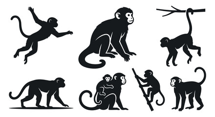 Collection of monkey silhouettes in various dynamic poses black and white silhouette © vect roy