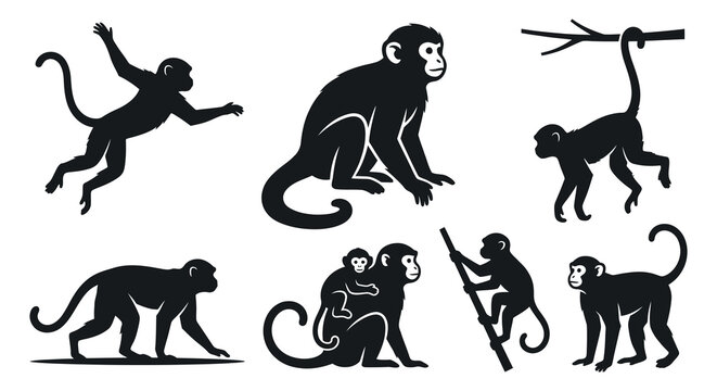 Collection of monkey silhouettes in various dynamic poses black and white silhouette