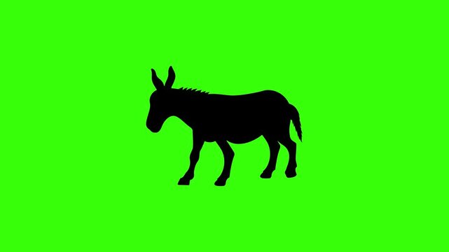 Donkey Silhouette Seamless Organic Loop Green Screen