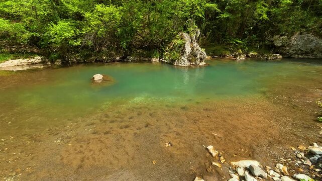 Calm stream flows through emerald forested banks. Gradac River, Serbia