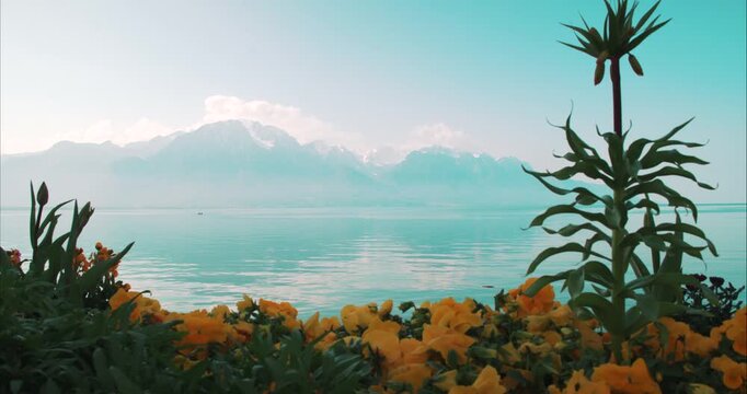 Colorful Tulips and Flowers Overlooking Lake Geneva Near Montreux - Bright spring flowers and tulips in the foreground overlooking Lake Geneva and the surrounding mountains near Montreux, Switzerland.