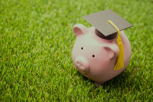 Pink piggy bank with mortarboard on green grass lawn. Money savings and financial planning for education in university, college or international abroad study and so on concept.